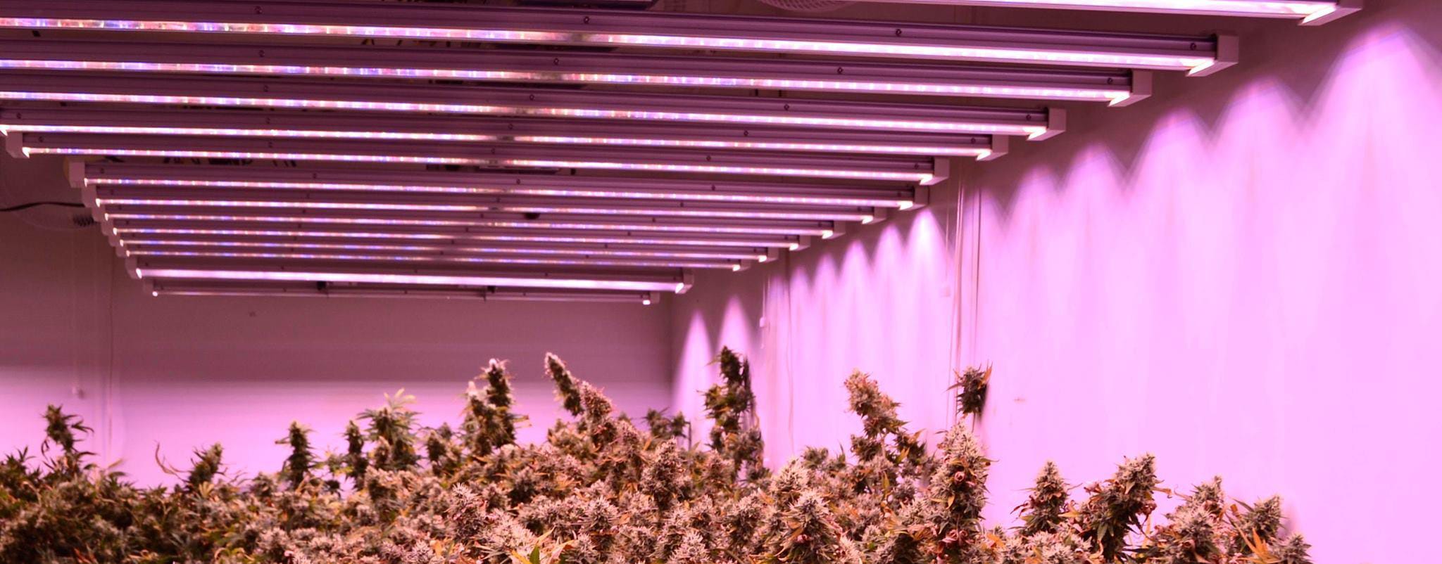Controlled environment room