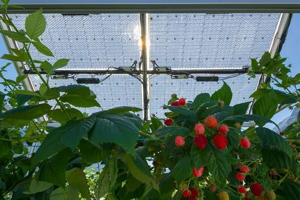 Smart farming 5
