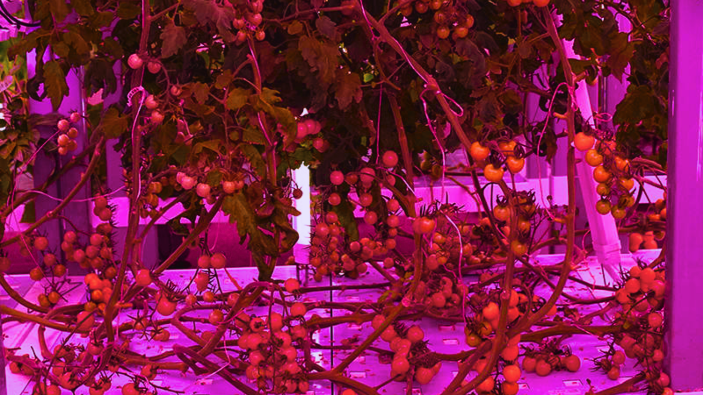 Climate & fertigation stack